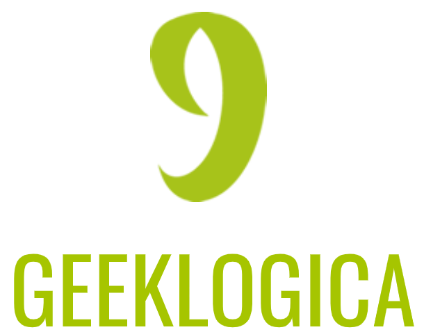 Logo Geek